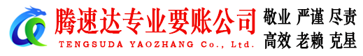 武城清债公司